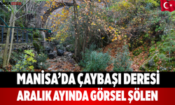 Manisa’da Çaybaşı Deresi Aralık Ayında Görsel Şölen