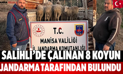 Salihli’de Çalınan 8 Koyun Jandarma Tarafından Bulundu