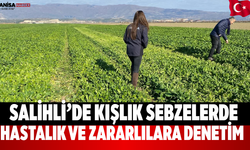 Salihli’de Kışlık Sebzelerde Hastalık ve Zararlılara Denetim