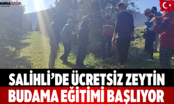 Salihli’de ücretsiz zeytin budama eğitimi başlıyor