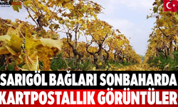 Sarıgöl Bağları Sonbaharda Kartpostallık Görüntüler