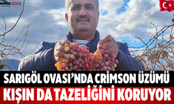 Sarıgöl Ovası’nda Crimson Üzümü Kışın Da Tazeliğini Koruyor