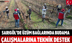 Sarıgöl’de Üzüm Bağlarında Budama Çalışmalarına Teknik Destek