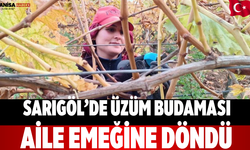 Sarıgöl’de Üzüm Budaması Aile Emeğine Döndü