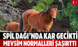 Spil Dağı’nda Kar Gecikti Mevsim Normalleri Şaşırttı