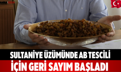 Sultaniye üzümünde AB tescili için geri sayım başladı