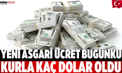 Yeni Asgari Ücret Bugünkü Kurla Kaç Dolar Oldu