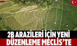2B Arazileri İçin Yeni Düzenleme Meclis’te