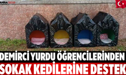 Demirci Yurdu Öğrencilerinden Sokak Kedilerine Destek