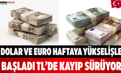 Dolar ve Euro Haftaya Yükselişle Başladı TL’de Kayıp Sürüyor