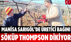 Manisa Sarıgöl’de Üretici Bağını Söküp Thompson Dikiyor