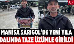 Manisa Sarıgöl’de Yeni Yıla Dalında Taze Üzümle Girildi