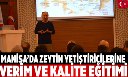 Manisa’da Zeytin Yetiştiricilerine Verim ve Kalite Eğitimi