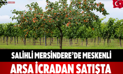 Salihli Mersindere’de Meskenli Arsa İcradan Satışta