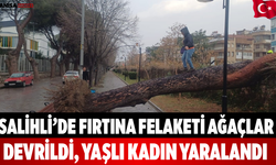 Salihli’de Fırtına Felaketi: Ağaçlar Devrildi, 1 Yaralı