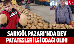 Sarıgöl Pazarı’nda Dev Patatesler İlgi Odağı Oldu