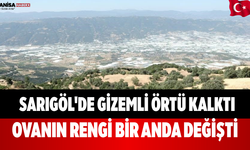 Sarıgöl'de Gizemli Örtü Kalktı Ovanın Rengi Bir Anda Değişti