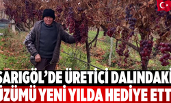 Sarıgöl’de Üretici Dalındaki Üzümü Yeni Yılda Hediye Etti