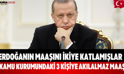 Sayıştay Denetimi: Kamu Şirketinde Maaş Uçurumu