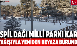 Spil Dağı Milli Parkı Kar Yağışıyla Yeniden Beyaza Büründü