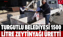 Turgutlu Belediyesi 1500 Litre Zeytinyağı Üretti
