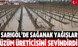 Sarıgöl’de sağanak yağışlar üzüm üreticisini sevindirdi