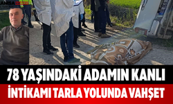 78 Yaşındaki Adamın Kanlı İntikamı Tarla Yolunda Vahşet