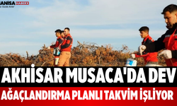 Akhisar Musaca'da Dev Ağaçlandırma Planlı Takvim İşliyor