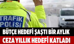 Bütçe Hedefi Şaştı Bir Aylık Ceza Yıllık Hedefi Katladı