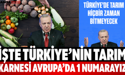 İşte Türkiye’nin Tarım Karnesi Avrupa’da 1 Numarayız