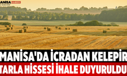 Manisa'da İcradan Kelepir Tarla Hissesi İhale Duyuruldu