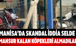 Manisa’da Skandal İddia Selde Mahsur Kalan Köpekleri Almadılar