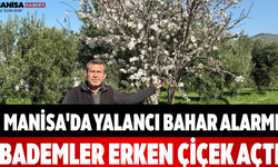 Manisa'da Yalancı Bahar Alarmı Bademler Erken Çiçek Açtı