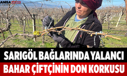 Sarıgöl Bağlarında Yalancı Bahar Çiftçinin Don Korkusu