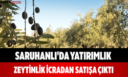 Saruhanlı'da Yatırımlık Zeytinlik İcradan Satışa Çıktı