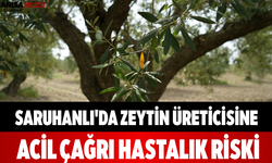 Saruhanlı'da Zeytin Üreticisine Acil Çağrı: Hastalık Riski