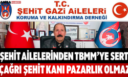 Şehit Ailelerinden TBMM’ye Sert Çağrı Şehit Kanı Pazarlık Olmaz