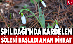 Spil Dağı’nda Kardelen Şöleni Başladı Aman Dikkat