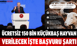 Ücretsiz 150 Bin Küçükbaş Hayvan Verilecek İşte Başvuru Şartı