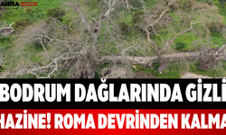 Bodrum Dağlarında Gizli Hazine! Roma Devrinden Kalma