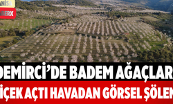 Demirci’de Badem Ağaçları Çiçek Açtı Havadan Görsel Şölen