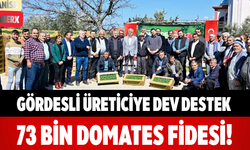 Gördesli Üreticiye Dev Destek 73 Bin Domates Fidesi!