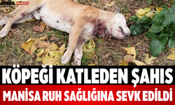 Köpeği Katleden Şahıs Manisa Ruh Sağlığına Sevk Edildi