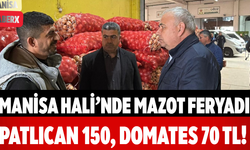 Manisa Hali’nde Mazot Feryadı Patlıcan 150, Domates 70 TL!