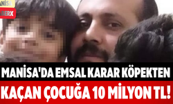 Manisa'da Emsal Karar Köpekten Kaçan Çocuğa 10 Milyon TL!