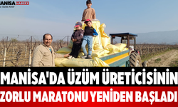 Manisa'da Üzüm Üreticisinin Zorlu Maratonu Yeniden Başladı