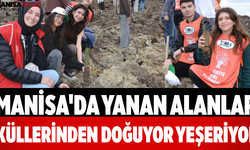 Manisa'da Yanan Alanlar Küllerinden Doğuyor Yeşeriyor