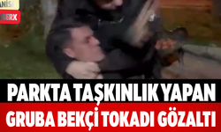 Parkta Taşkınlık Yapan Gruba Bekçi Tokadı Gözaltı