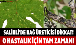 Salihli'de Bağ Üreticisi Dikkat! O Hastalık İçin Tam Zamanı