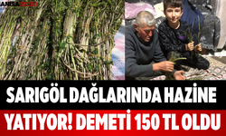 Sarıgöl Dağlarında Hazine Yatıyor! Demeti 150 TL Oldu